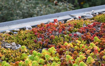 the cost of Oxenwood green roof installation