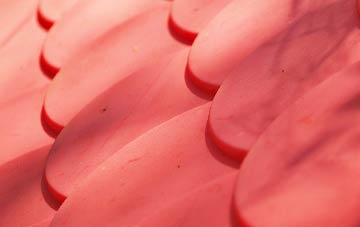 Oxenwood plastic roof costs